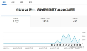 Read more about the article 怎么通过油管YouTube获利（3）